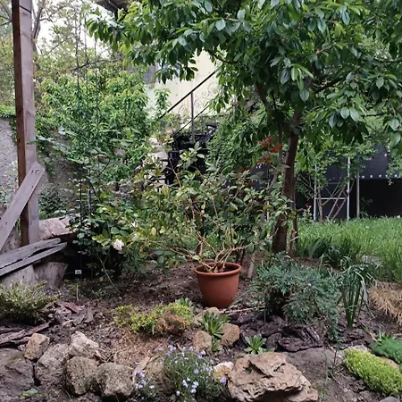 номер в гостевом доме у моря Odessa